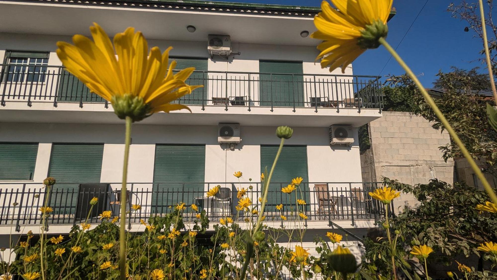 Hotel Casa Do Olival Peso da Régua Exterior foto